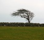 Preparing your farm for Storm Barra
