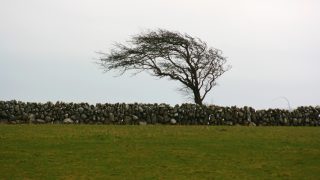 Status Yellow wind warning for most of the UK