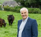Health-enhancing poultry products in the pipeline