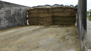 Maintaining silage quality during the winter period