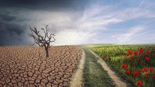 Britain votes Obki as COP26 UK ambassador