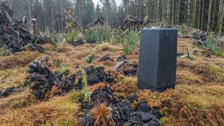 Scottish gov invest £550,000 in pest management solution