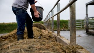 Farm labour – finding good staff and ensuring they stay