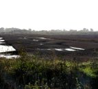 Report: Peatlands could reduce GHG emissions by 800m tonnes per year