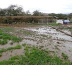 Somerset farmer fined for 2nd time for polluting watercourse
