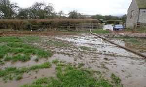 Somerset farmer fined for 2nd time for polluting watercourse