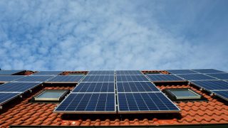 Anpario announces new initiatives to meet net-zero targets