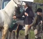 Video: Woman caught kicking and punching horse