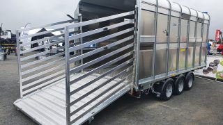 DAERA issues advice on new BVD requirements for cattle moving south
