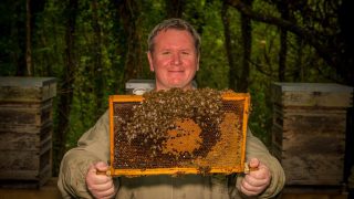 Prestigious sustainability award is won by a Welsh bee farm