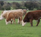 RPA issue £1.725 billion in payments to farmers