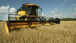 A UK tillage farmer reflects on the year that was 2021