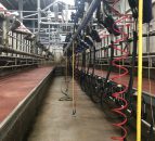 GDT sees first fall since August in this week’s event