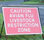 Bird flu: Suspected notifiable case in Tyrone