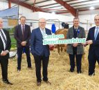 New NI initiative to tackle dairy sector carbon emissions