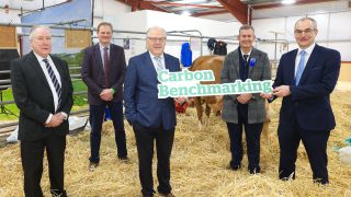 New NI initiative to tackle dairy sector carbon emissions
