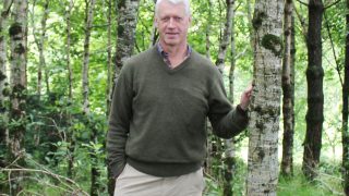 Concern at delays in processing forestry applications in NI