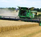 DAERA publishes crop production estimates for 2021
