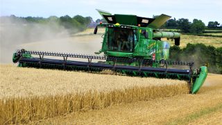 DAERA publishes crop production estimates for 2021