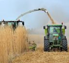 £26 million government funding to boost biomass use in the UK