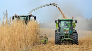 £26 million government funding to boost biomass use in the UK