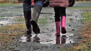 Opinion: Stay safe on farms over the festive period