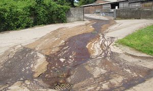 Supermarket-supplying farm fined £37,184 for river pollution