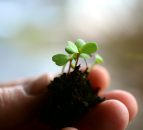 New partnership to grow South Africa's vertical farming industry