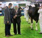 Direct payments to NI agricultural shows ‘may not’ be an option – Poots