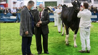 Direct payments to NI agricultural shows ‘may not’ be an option – Poots