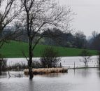 Natural flood management must be a 'core part' of flood defences