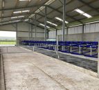 £12m FBIS-C scheme to open to NI farmers on January 10