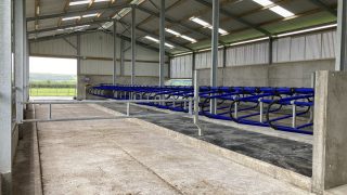 £12m FBIS-C scheme to open to NI farmers on January 10