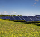 Arla's ambitious solar park plan expected to cover 33% energy consumption