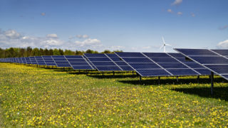 Arla’s ambitious solar park plan expected to cover 33% energy consumption