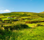 Hundreds of farmers expected to demonstrate at Stormont over climate bill