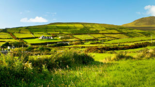 Hundreds of farmers expected to demonstrate at Stormont over climate bill