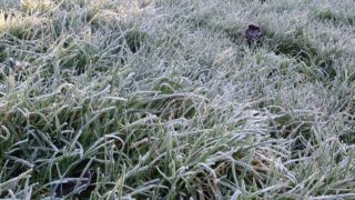 Cold weather alert for central and southern England