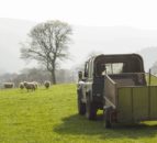 Welsh sheep and goat farmers reminded to submit inventory