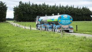 Fonterra revises downwards its NZ milk collections
