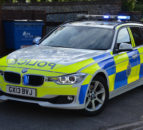Investigation launched after cattle stolen from Armagh farm