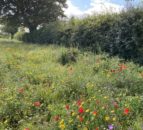 Views sought on Farming for Nature