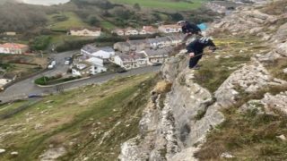 Watch: Abseiling rescue officer saves stranded ewe with one hand