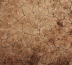 IPCC: Production losses projected for most European areas