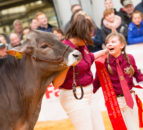 Borderway Dairy Expo returns with an all-female judging panel