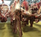 Dawn Meats and Dunbia sign agreement to minimise carcase waste