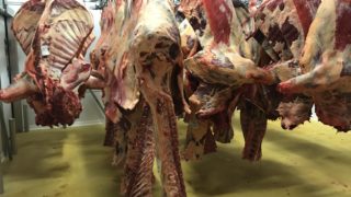 Dawn Meats and Dunbia sign agreement to minimise carcase waste