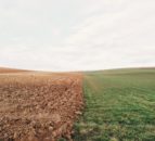 Investment in soils could not only benefit the environment – research