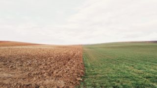 Investment in soils could not only benefit the environment – research