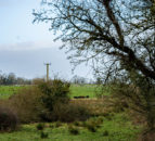 Defra failing to complete reviews of environment laws - report